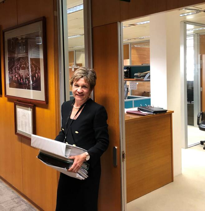 Member for Murray, Shooters, Fishers and Farmers' Helen Dalton submitting the Speak Up petition for a water register and royal commission to parliament. 