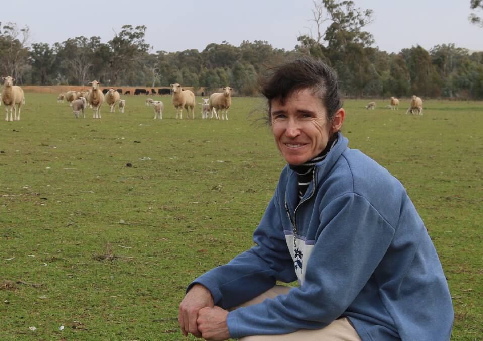 Charles Sturt University's Dr Susan Robertson, from the Graham Centre for Agricultural Innovation, is researching best practices for managing ewes in containment. 