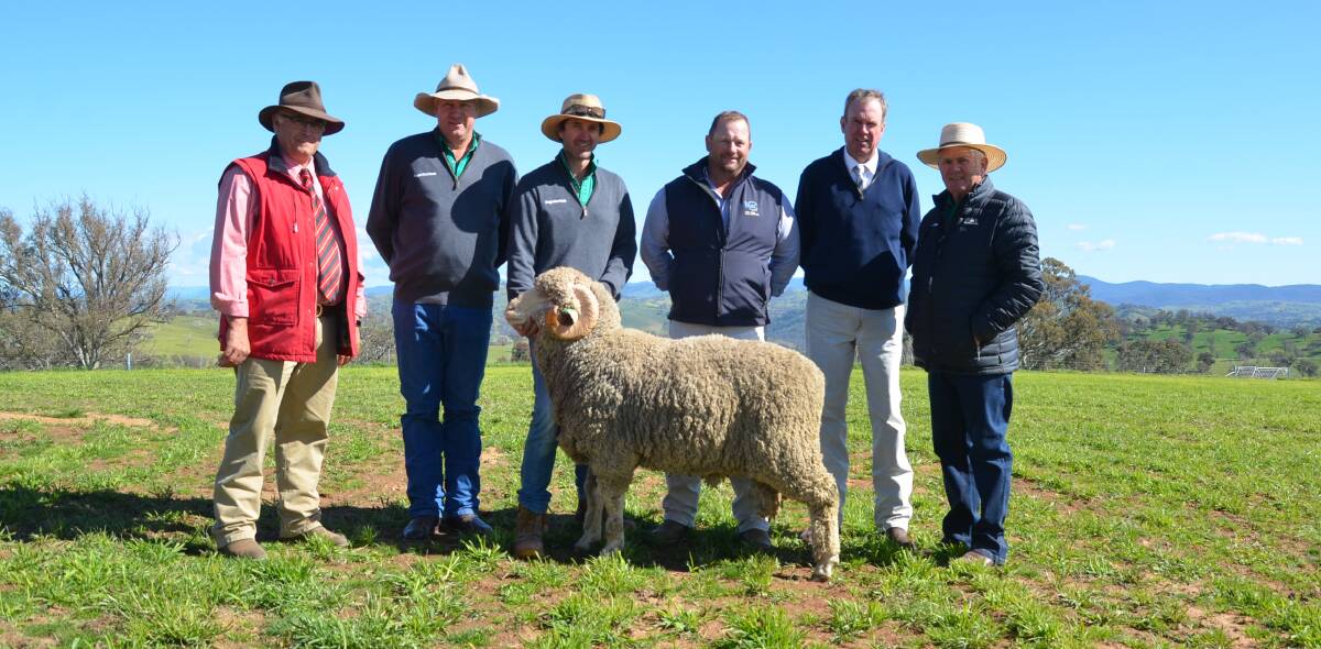 The top-priced ram pictured with Scott Thrift, Elders, Bogo Merinos' Matt Crozier and Will Wragge, Phill Butt, Butt Property and Livestock, auctioneer Paul Dooley and Bogo Merinos' Mal Peake. The ram was purchased by Garabray Pty Ltd, Greenthorpe. 
