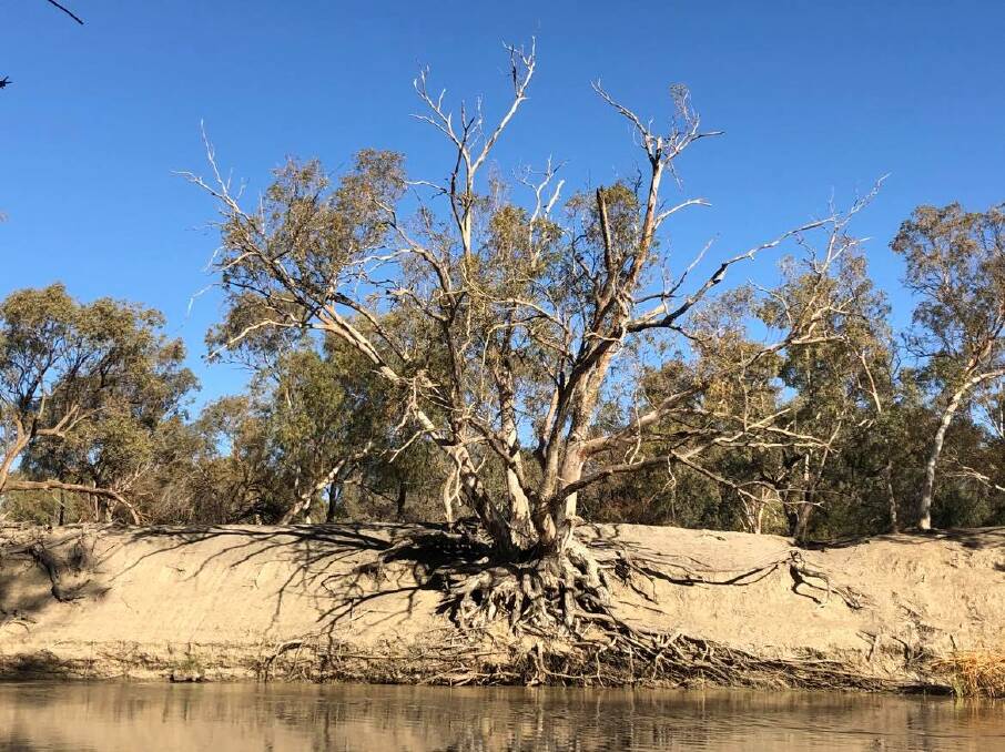The Australia Institute senior water researcher Maryanne Slattery said the report indicated a small number of irrigators had been favoured over downstream water users. 