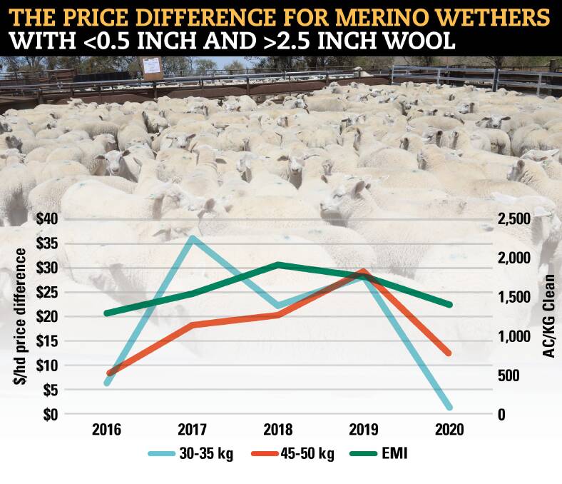 The yearly difference for Merino wethers with less than 0.5 inch and more than 2.5 inches of wool vs the average yearly AWEX EMI. Source: AuctionsPlus