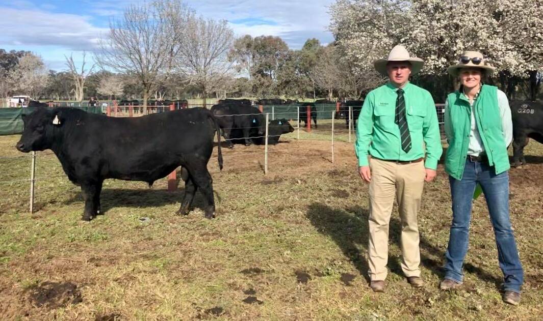 Ruth Corrigan, Rennylea with auctioneer, Peter Godbolt, Paull and Scollard Nutrien Albury and Rennylea Q292 who sold to Balmoral Park Angus, Yea, Vic for $28,000 via AuctionsPlus. 