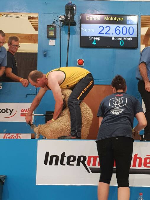 Daniel McIntyre came 16th out of 62 starters at the Golden Shears World Shearing & Wool Handling Competition in France.