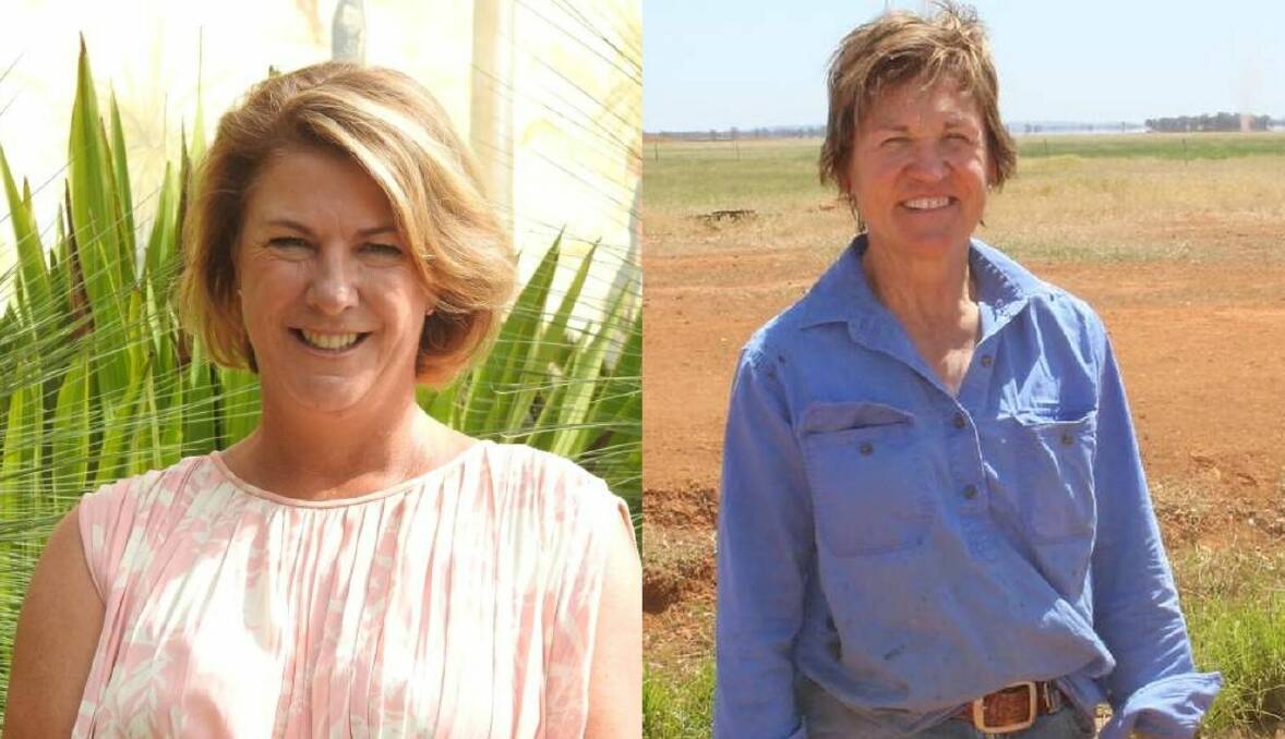 NSW Water Minister Melinda Pavey and Murray MP Helen Dalton have both introduced water ownership transparency bills to parliament, but there are some key differences between them. Ms Pavey's bill was debated on Wednesday and passed through the Lower House. 