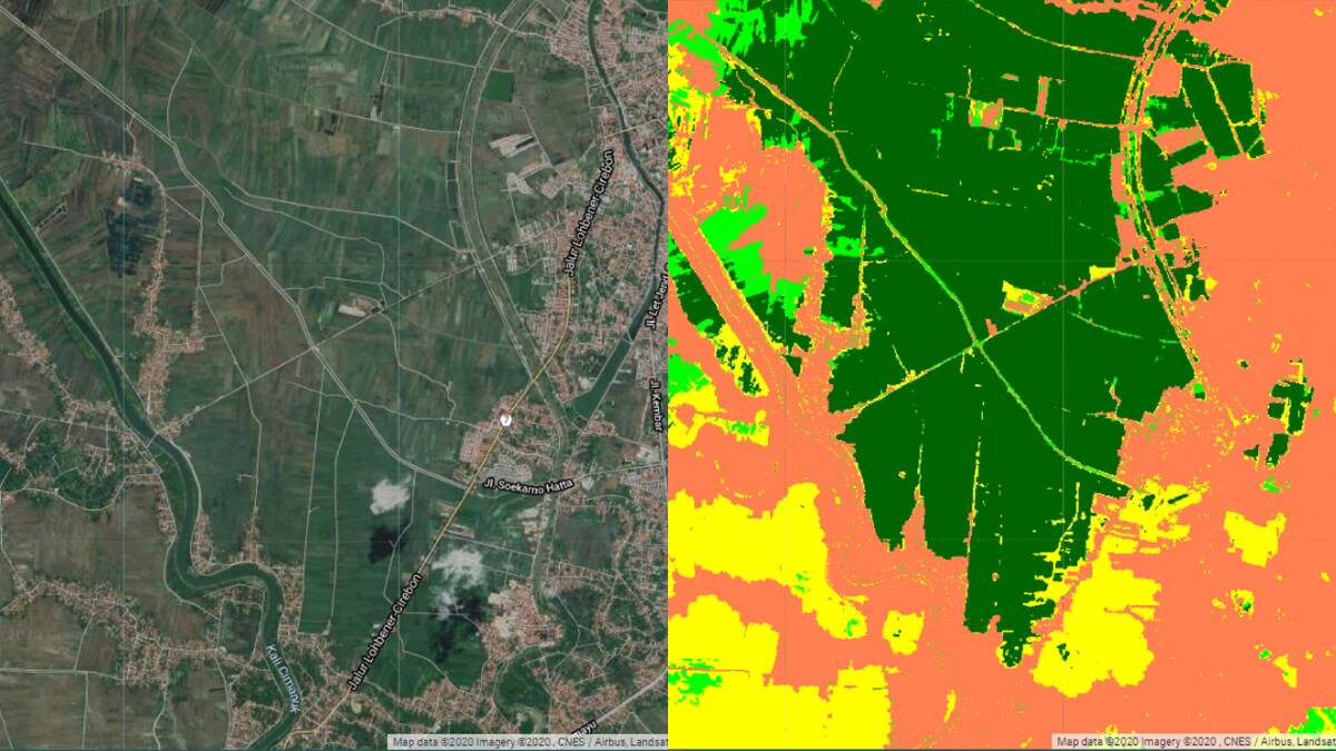 Satellite image of central Java, Indonesia (left) and an image processed by Paddy Watch showing rice fields at different stages of growth. Dark green indicates high moisture levels, meaning the rice is at the vegetative stage. Photo supplied. 