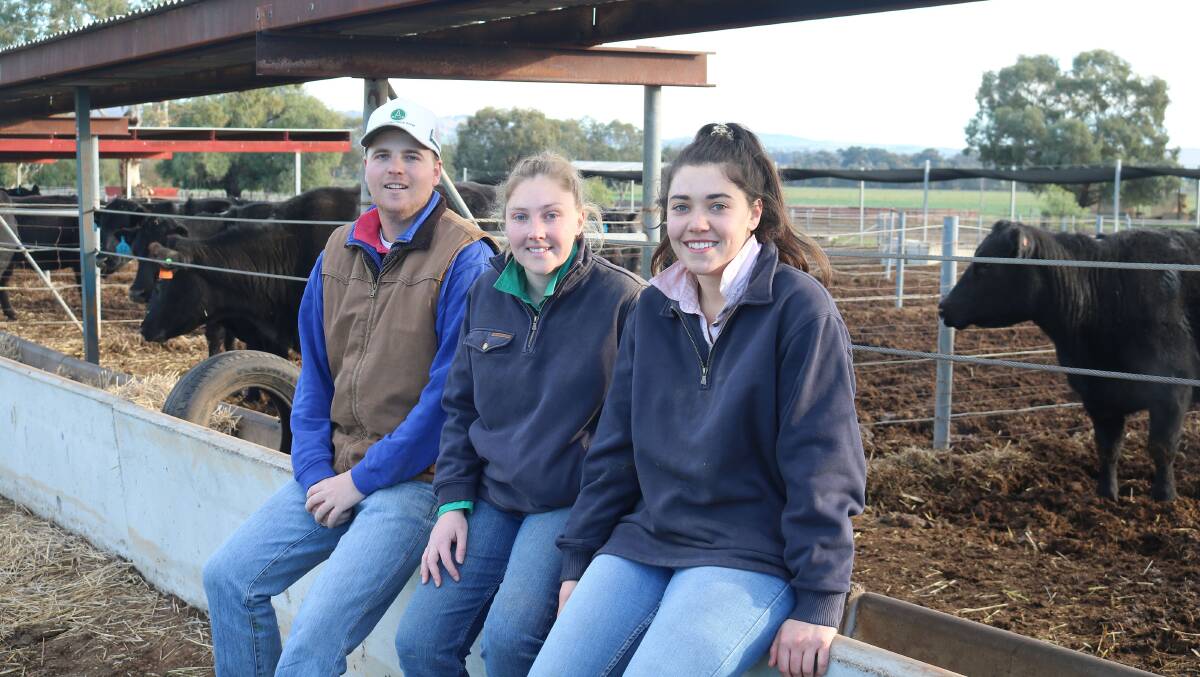 Charles Sturt University Honours students Jake Bourlet, Christine Harris and Jessie Phillips completed the research into improving the value of cull cows. Photo: Supplied