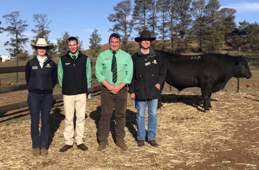 Bea Bradley Litchfield and Jim Litchfield, Hazeldean with Nutrien auctioneers Hamish McGeoch and Tim Woodham and the top-priced bull, Hazeldean P361 who sold to Indian Creek Pastoral, Tumut for $22,000. 
