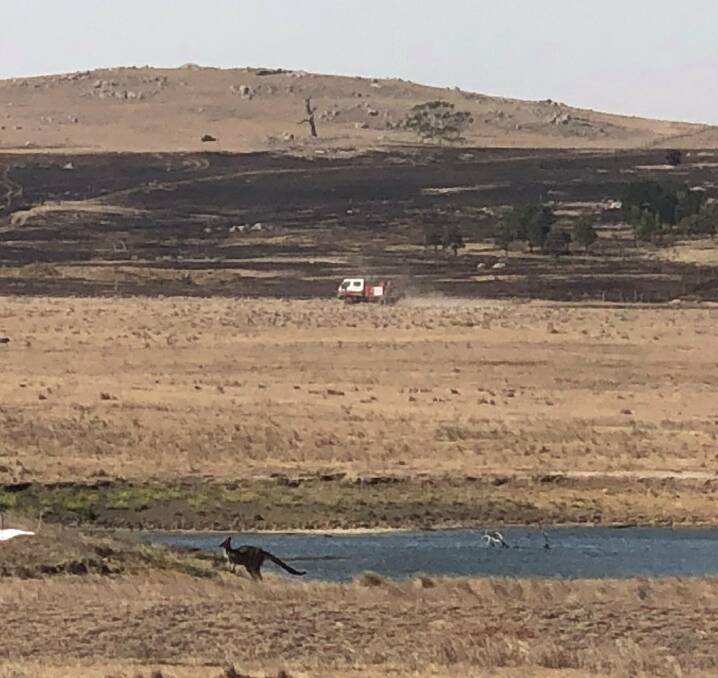 A kangaroo and fire truck move through the partially burnt landscape. Firefighting helicopters were filling up from Martin Royds' weirs every 40 seconds at one stage. 