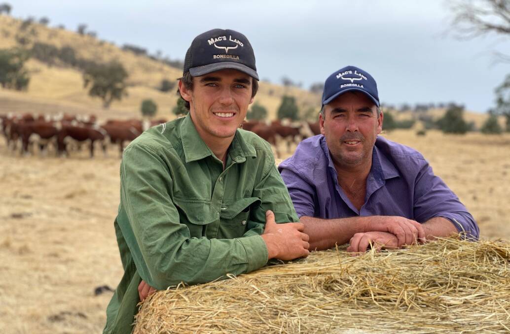 Ben and Gerard McIntosh, Yackandandah, Victoria are introducing more black baldy cattle to their predominantly Hereford herd to improve marbling. Photo: Sarah McIntosh 