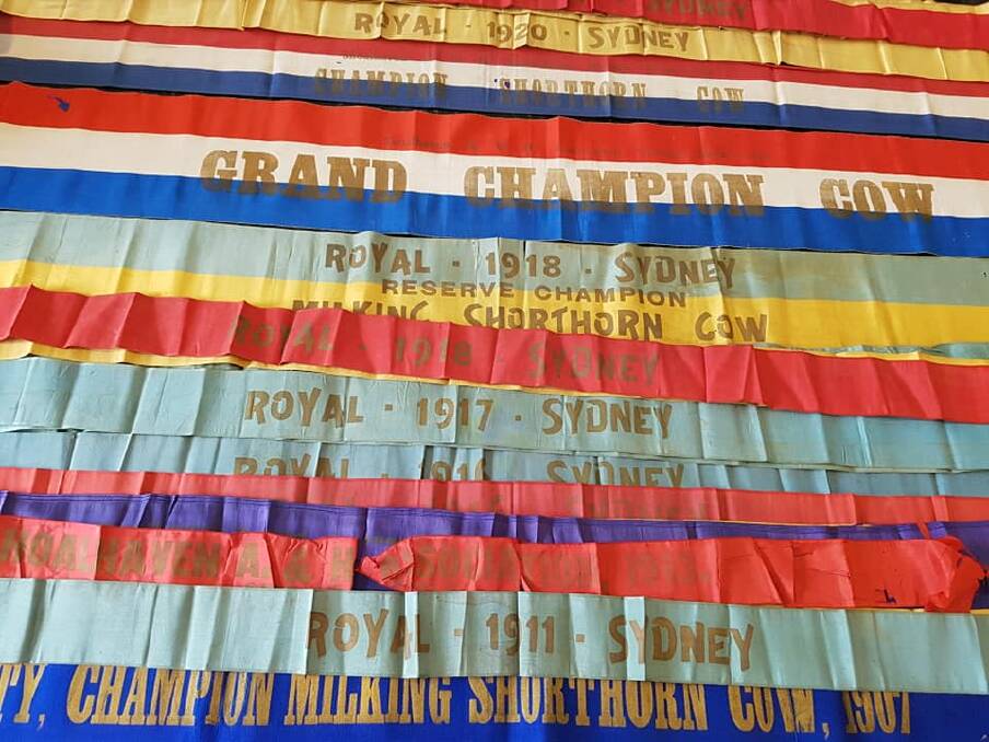 Some of the Herne family’s show ribbons which date back to 1907. Photo: Boscawen Holsteins and Jerseys Facebook