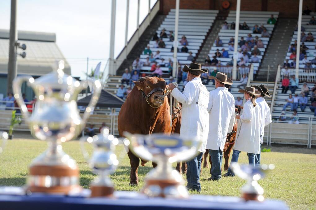 Beef 2021 attracted in excess of 115,000 visitors through the gates despite the challenges faced with delivering an event under COVID guidelines. Photo: Lucy Kinbacher