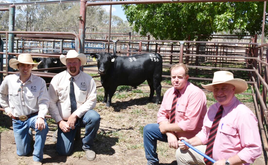 Sale top price bull, KO L519 Intensity, with KO Angus stud's Angus Onisforou and farm manager Tim Lord, Gundagai, NSW, Woonon Grazing buyer representative Geoff Sutton, Elders Sarina, and Elders Stud Stock's Andrew Meare. Picture: Ben Harden 