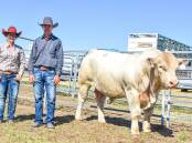 Amy Whitechurch of 4 Ways Charolais, Inverell, and Shane Murphy of Tayglen, Dysart, Qldm with top price bull 4 Ways MK R18E , who sold for $28,000. Photos: Ben Harden
