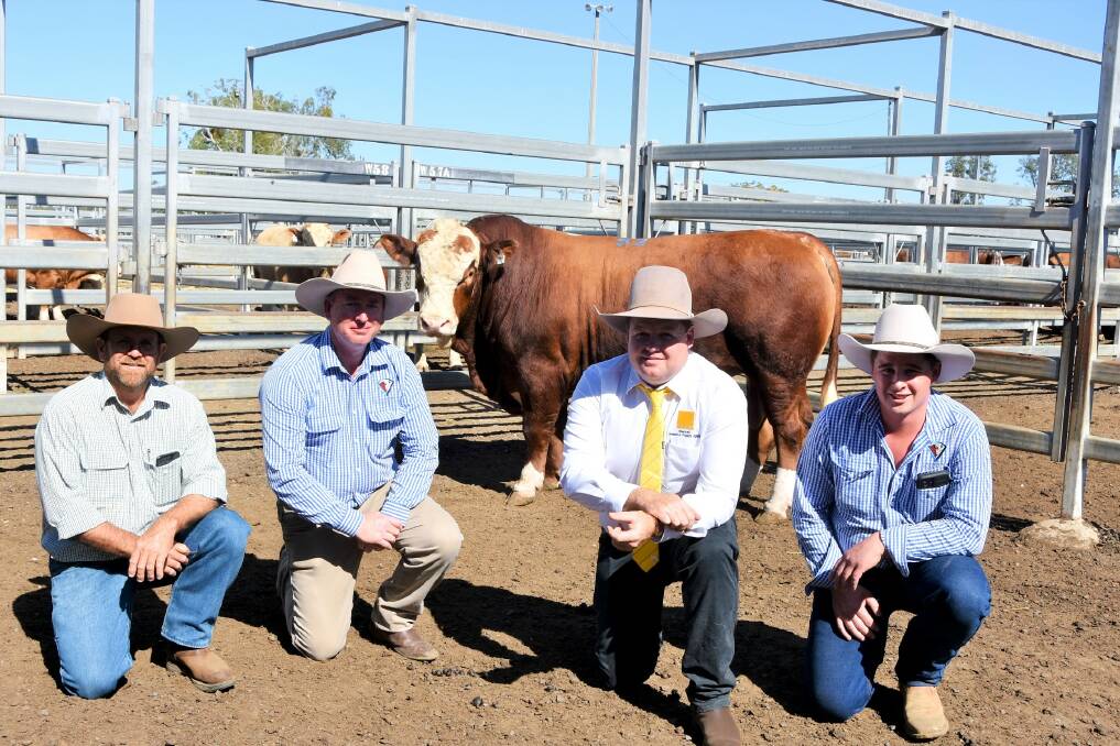 Buyer Alistair Kirk, Olinda Grazing, Baralaba, vendor Bruce McColl, Daraabah Fleckvieh Simmentals, Dubbo, NSW, selling agent Joe Grove, Ray White Rural and Livestock, Blackall, and stud manager James Hannah, Dubbo, with top-price sale bull Daraabah Quambone (P). Picture: Ben Harden