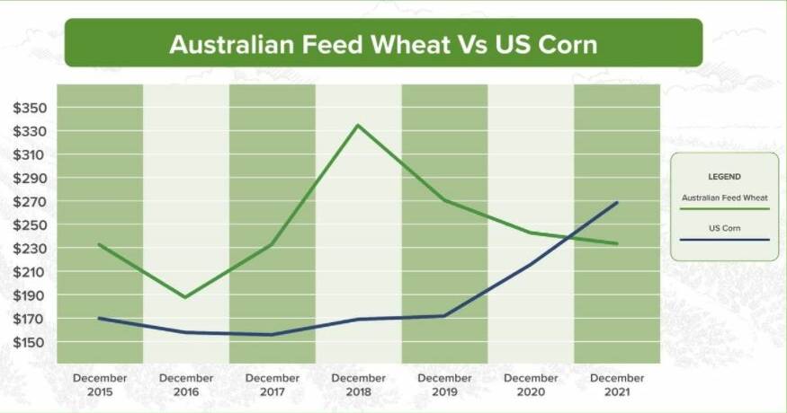 Time heals all wounds... and strong feed wheat demand from our Asian neighbours helps too!