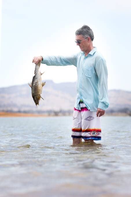 Smelly find: Andrew Wilson with a dead carp he found floating on the surface of Lake Hume near Bowna Reserve. Picture: KYLIE ESLER