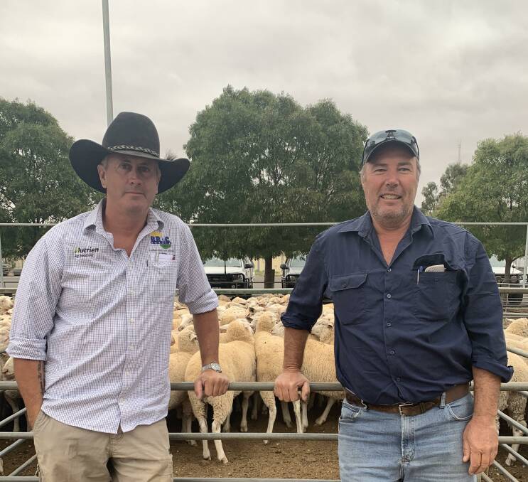 SALE DAY: Martin Williams, Nutrien Ag Solutions, and Gerard Ryan, Kulwin, at this week's sheep market at Ouyen, Victoria.