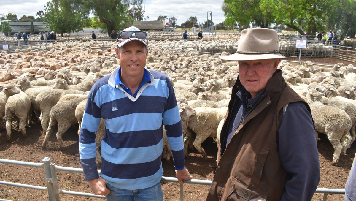 VENDORS: Simon and David Ettershank, Barham, sold this pen of 235 Merino ewes, May/June 2020-drop, August shorn, for $340, at Wycheproof.