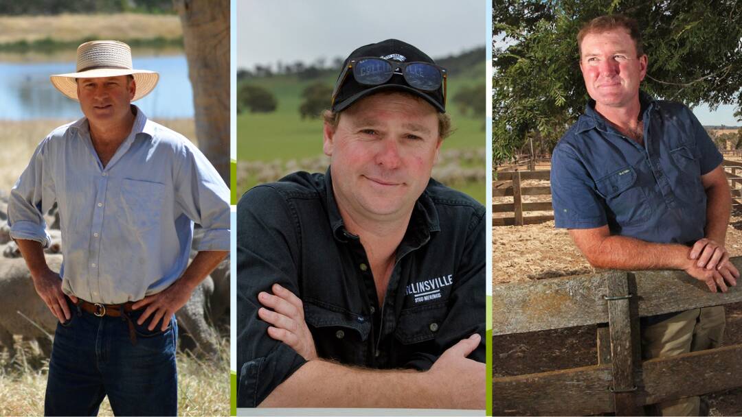 WoolProducers Australia has recommended growers vote for Ed Storey, George Millington and Steve McGuire in the Australian Wool Innovation board election. 