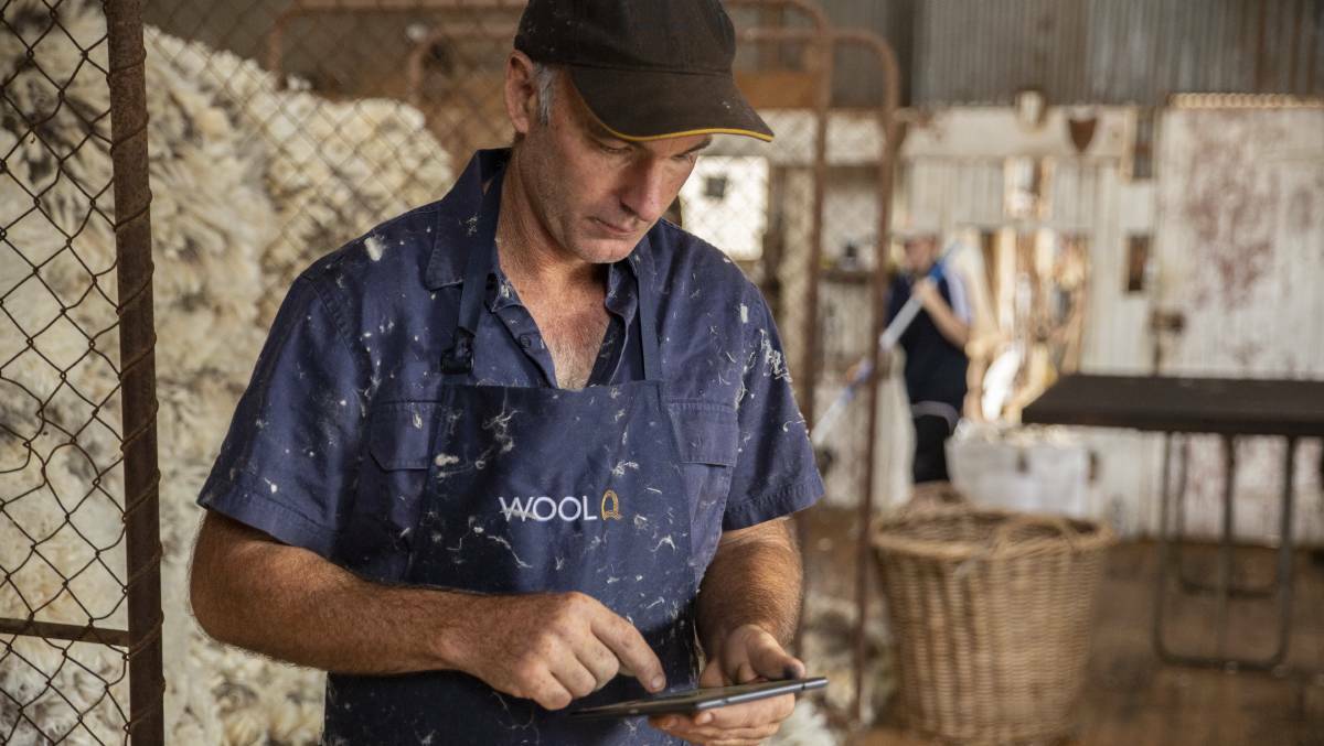 Australian Wool Innovation is looking at commercialising the online marketplace component of its digital platform, WoolQ. 