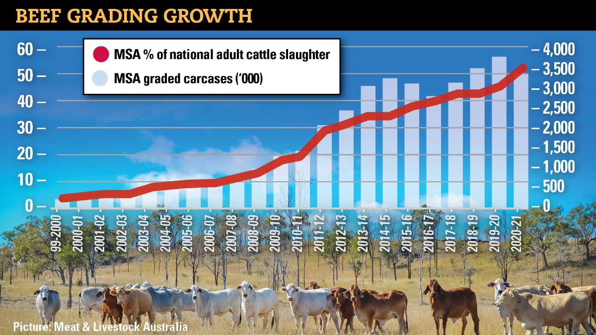 In 2020-21, 3.3 million beef carcases, or 53 per cent of the national adult cattle slaughter, were presented for MSA grading.