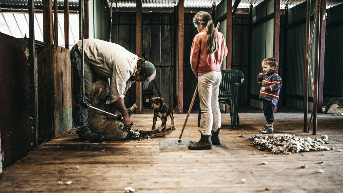 The Chalker children spending an afternoon helping out their father Brad in the shed. Photographs courtesy Miss Pip Rural. 