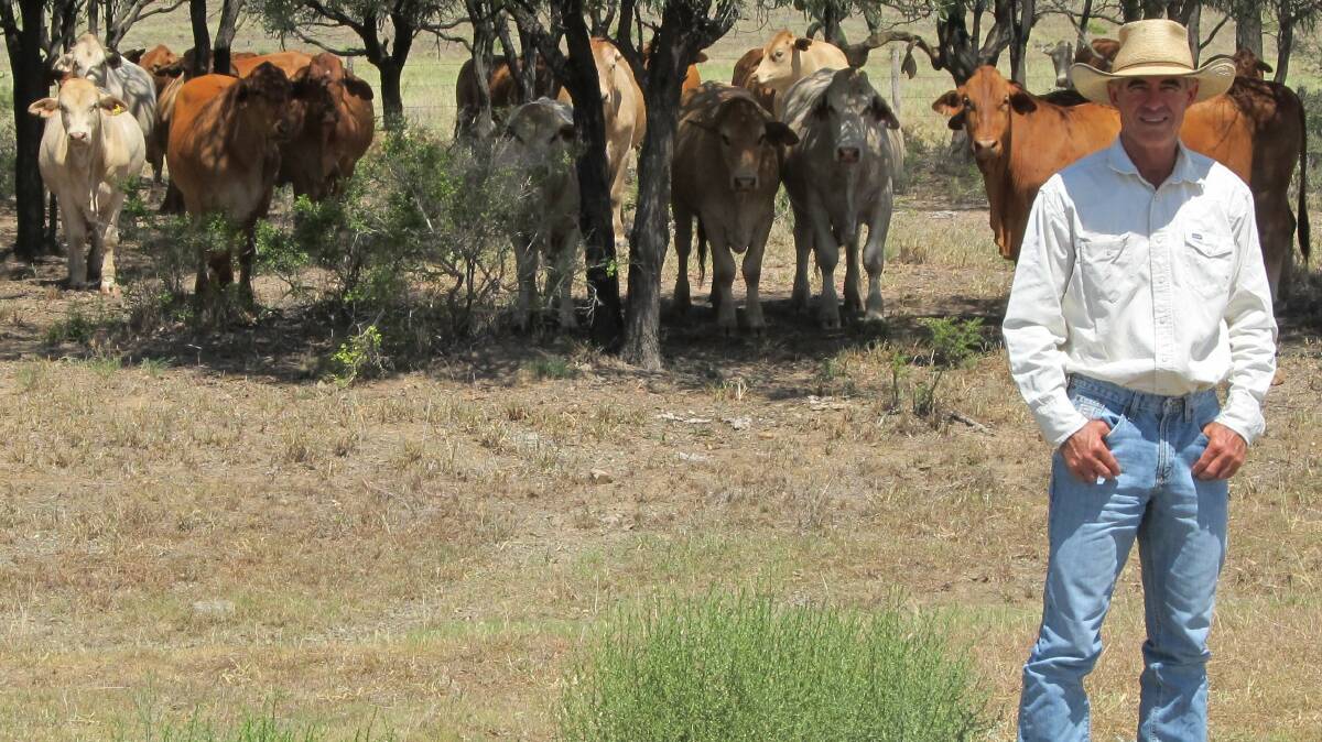 Rosewood Charbrays' Paul Connor is one of the first breeders to have contributed cattle to the Charbray field to fork branded beef promotion in partnership with JBS Australia. 