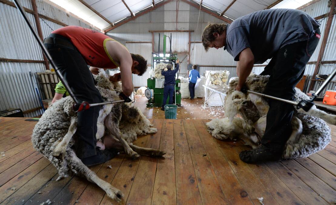 The Australian Workers Union says bringing in foreign shed hands will hurt local shearing industry workers. 