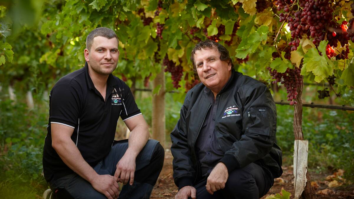 Thomas and Phillip Marciano from Marciano Table Grapes, a business with grape farms across the country. The newest one at Hughenden is due to plant its first vines within weeks. 