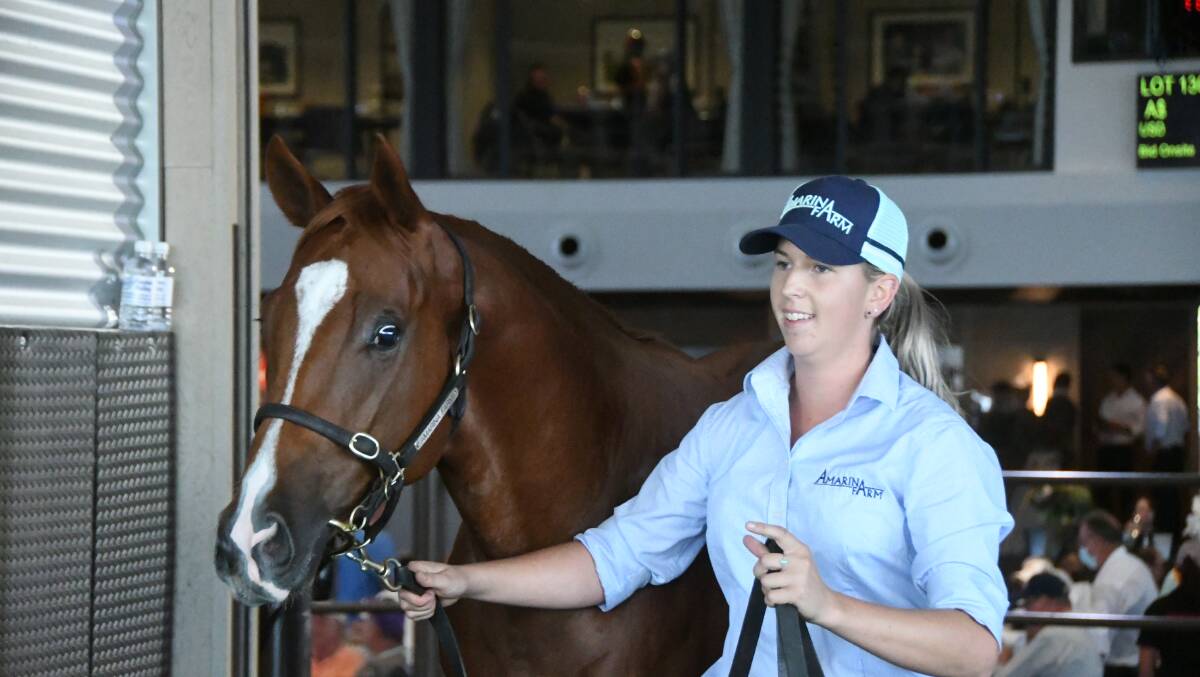 Among the final crop by Not A Single Doubt, a colt from Di Lusso (and Carly Longbottom), which sold for $975,000 via Amarina Farm. Photo Virginia Harvey. 