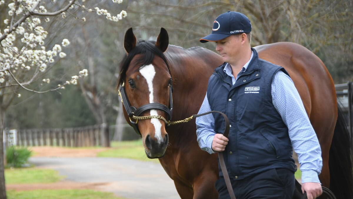 Widden Studs Outreach (and Nathan Curry), had to turn to virtual stallion parades this stud season. Photo: Virginia Harvey