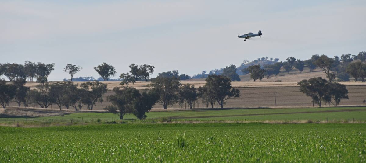 Middlebrook Air Operations in action over Attunga near Tamworth on Tuesday overcoming the problem of accessing wet paddocks. Photo by Billy Jupp.