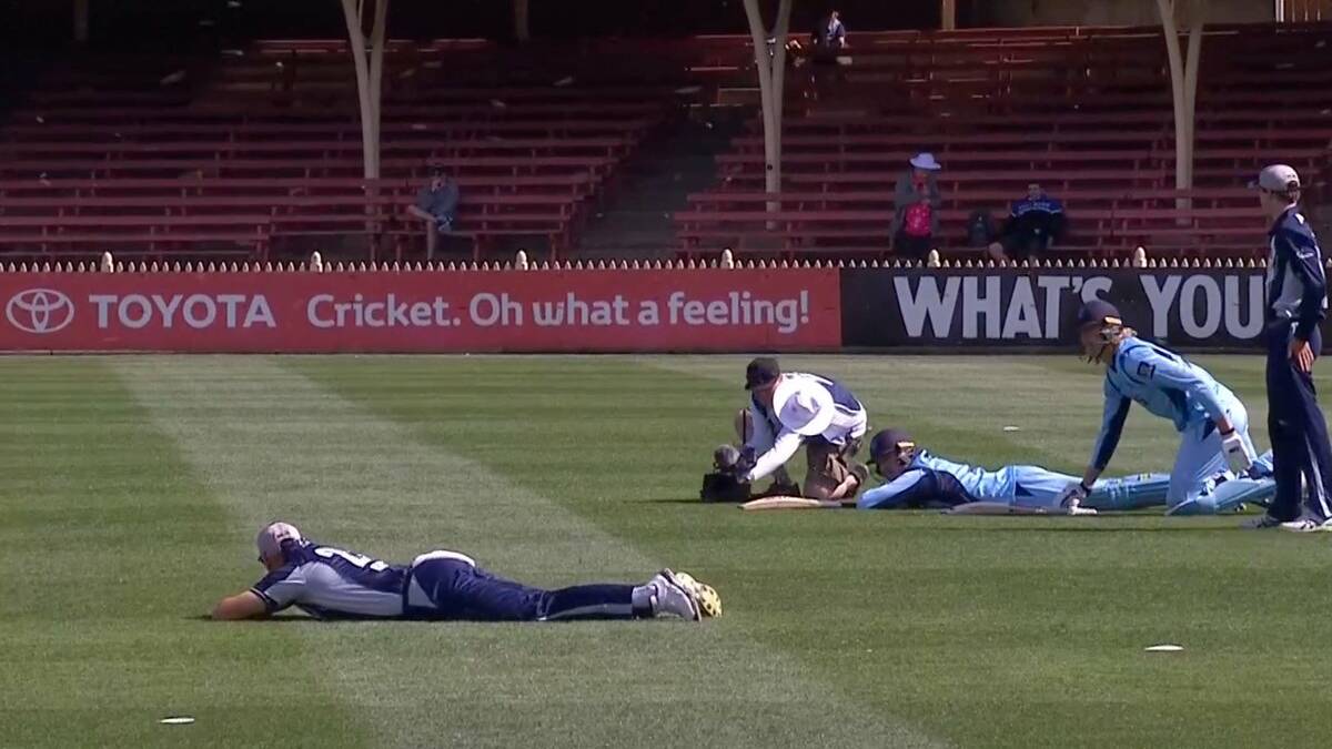 Diving for cover as the bee swarm passes by. Photo Cricket NSW.