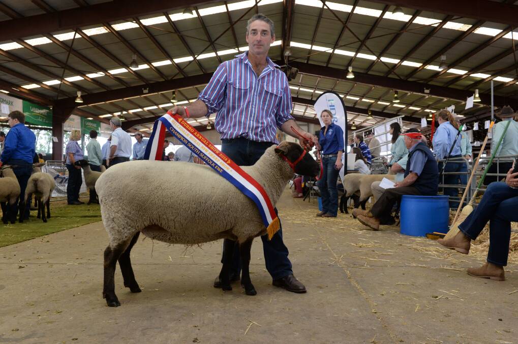  Steve Conley, Gottarock, Yerong Creek, with the champion South Suffolk ewe at the Dubbo Show. 