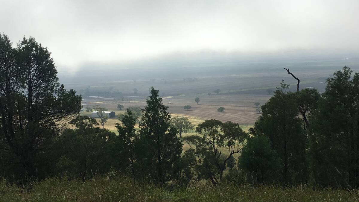 Rain in the north saw up to 30mm fall on the Liverpool Plains. This is the view from Tony Burgess's place Upland at Spring Ridge, where he will plant bread variety wheat in the next two weeks. He has had 305mm so far this year compared to 276mm for the whole of last year. 