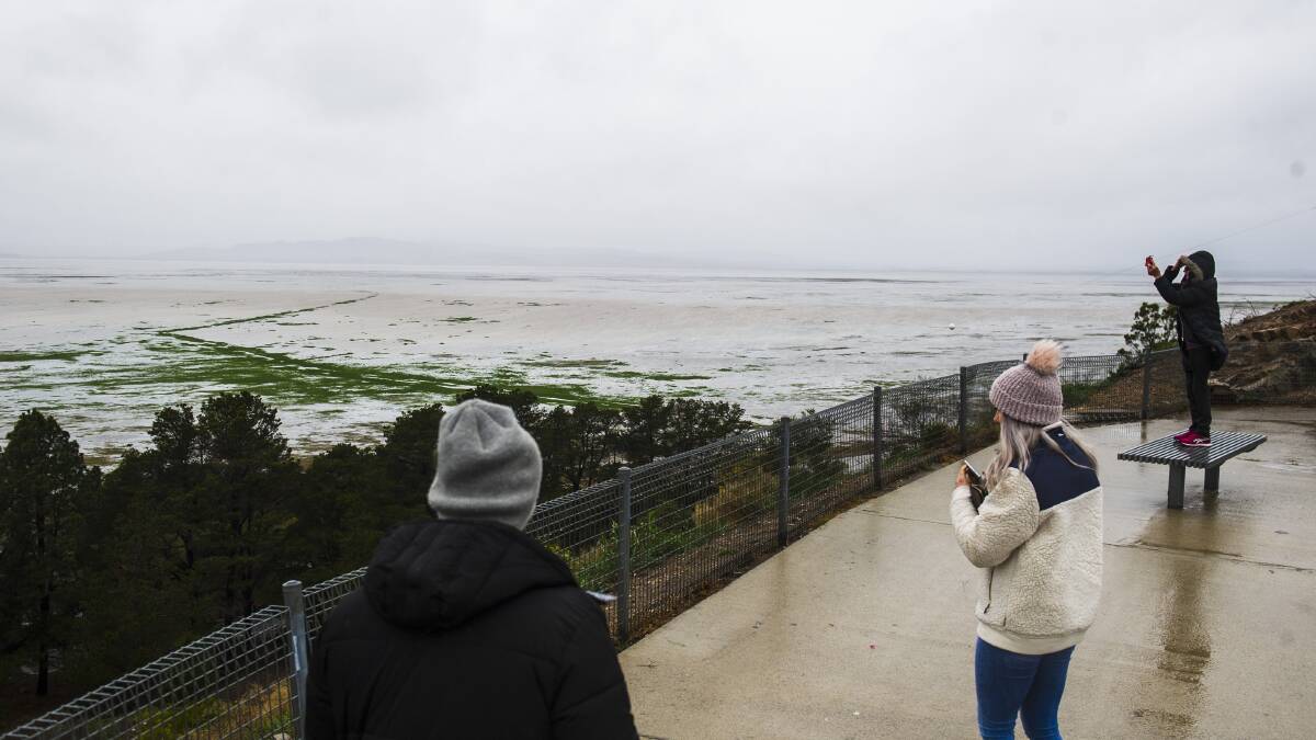 People watch Lake George filling, a rare event after the prolonged drought, unaware of the rescue mission to save the sheep. Photo by Dion Georgopoulos/Canberra Times.