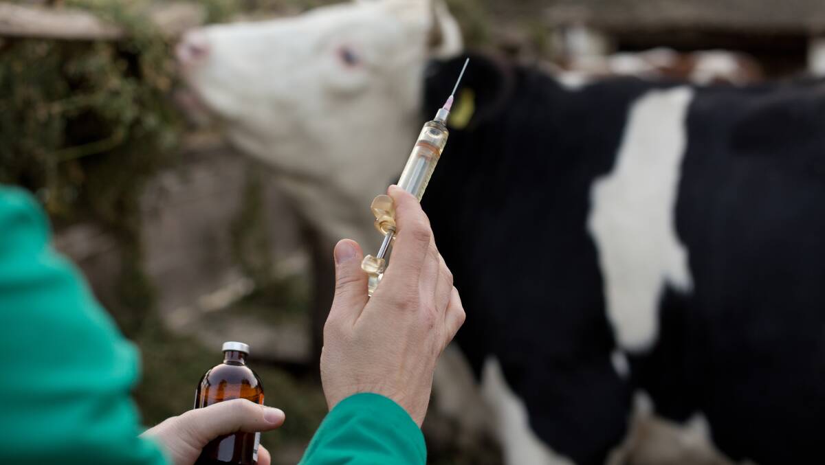 A new medicines disposal system known as RUM for animal medecines will help relieve farms of leftover medicines.