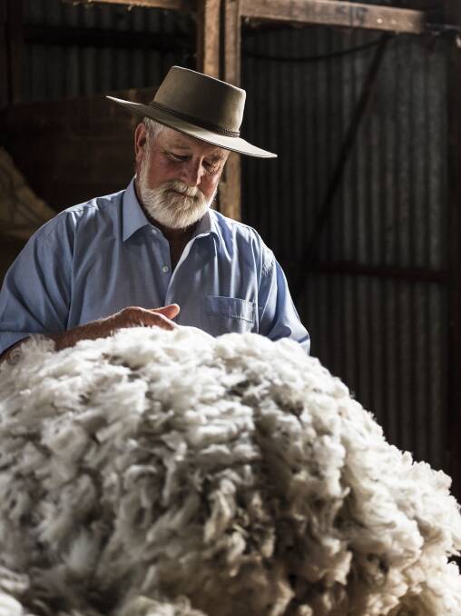 Ken Keith checking the fleece. Photo by Denise Yates.