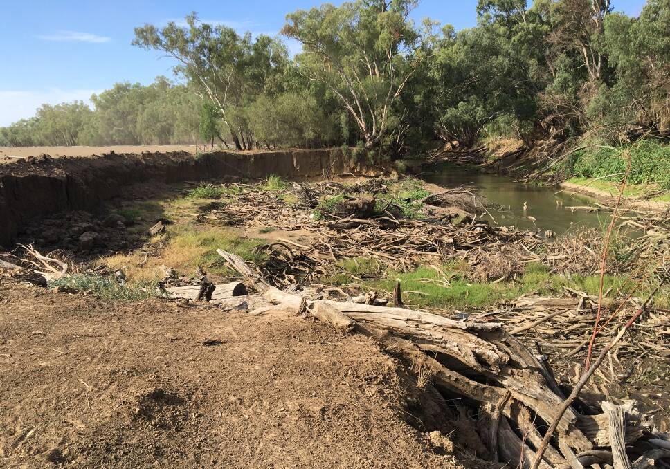 Willow branches caused this erosion on the lower Macquarie north of Warren.