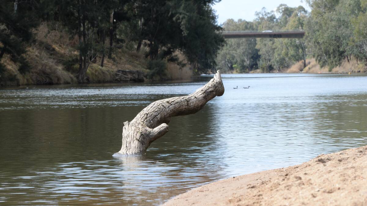 The Macquarie River is expected to run dry by next June if there is no substantial rain. Farmers say now is the time to remove willows logs that have fallen in the river that may cause flooding downstream once there is major rain.