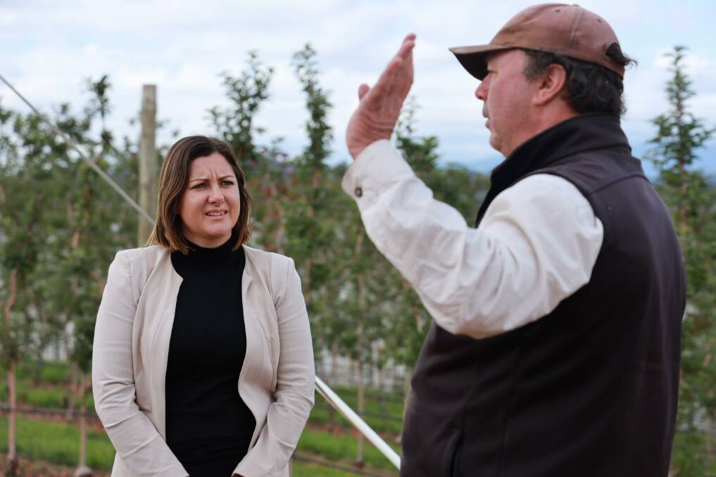Former Bega mayor, Labor's Kristy McBain, covered over 9000km in the by-election campaign and will be the first female member for Eden-Monaro. She is pictured talking to an orchardist in Batlow.