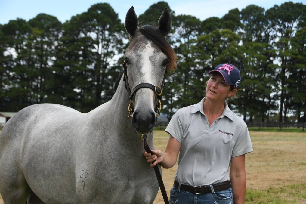  Stud manager Danielle Jacklin with the Ribchester colt, from Sydney stakes winner White Sage, to be offered via Tartan Fields, Kulnura, at the Inglis Australian Easter Yearling Sale. Photo Virginia Harvey.
