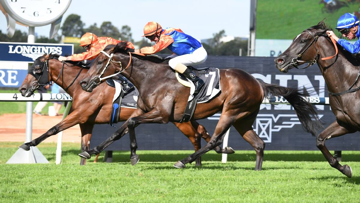 Think It Over (and Glen Boss up, middle) gives his Kembla Grange trainer Kerry Parker his second Group 1 win in the George Ryder Stakes at Rosehill. Photo Steve Hart
