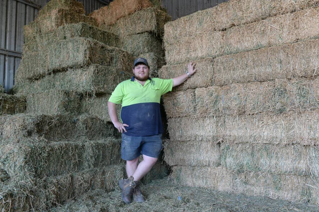 Toby King of Dubbo Pet and Stockfeeds beside a quickly diminishing pile of lucerne hay set to hit an unprecedented $25 a bale (about 20kg) by next month. Photo by Rachael Webb.