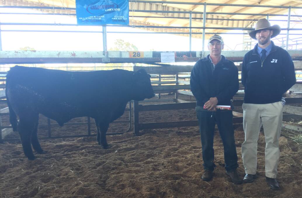 Vendor Neil McCracken, Calderwood Limousin Stud with auctioneer Nick Harton, and equal top selling bull 925kg Calderwood Dictator, that went to buyer Tony Kelly, Moss Vale for $4000. Mr Kelly also bought another Calderwood bull, 805kg Calderwood Cognac, described by Mr Harton as a "meat machine". 