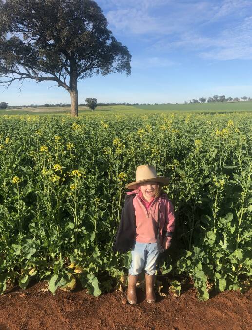 Karen and Mark Campbell can say their canola crop is higher than their daughter Lucy, 4, at Merriwa.