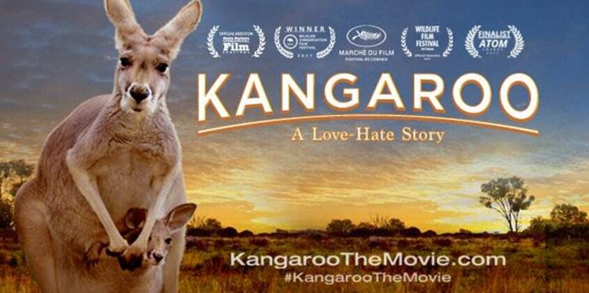Controversial doco on kangaroos opens in Sydney