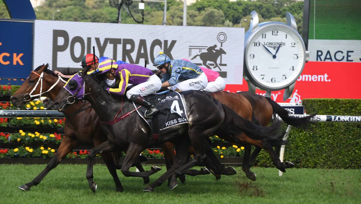 Kinloch (and Nash Rawiller, centre) sticks his head out to win the Provincial-Midway Championship Final at Randwick last Saturday. Photo Virginia Harvey.