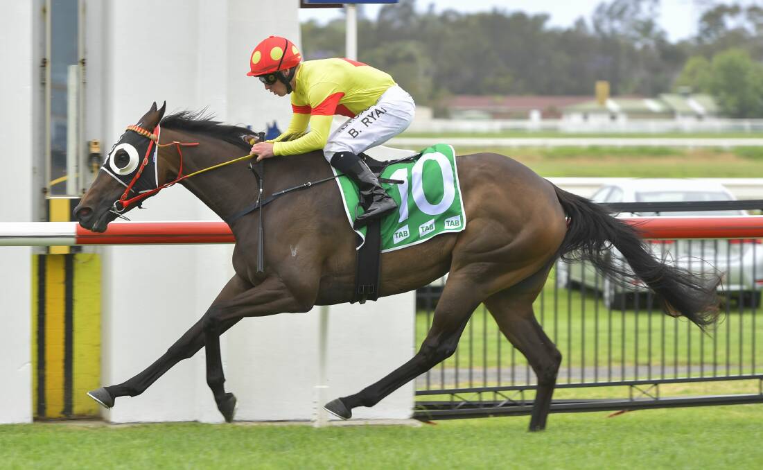 Shes All In (and Brock Ryan) win the TAB Highway Handicap. Photo Steve Hart.
