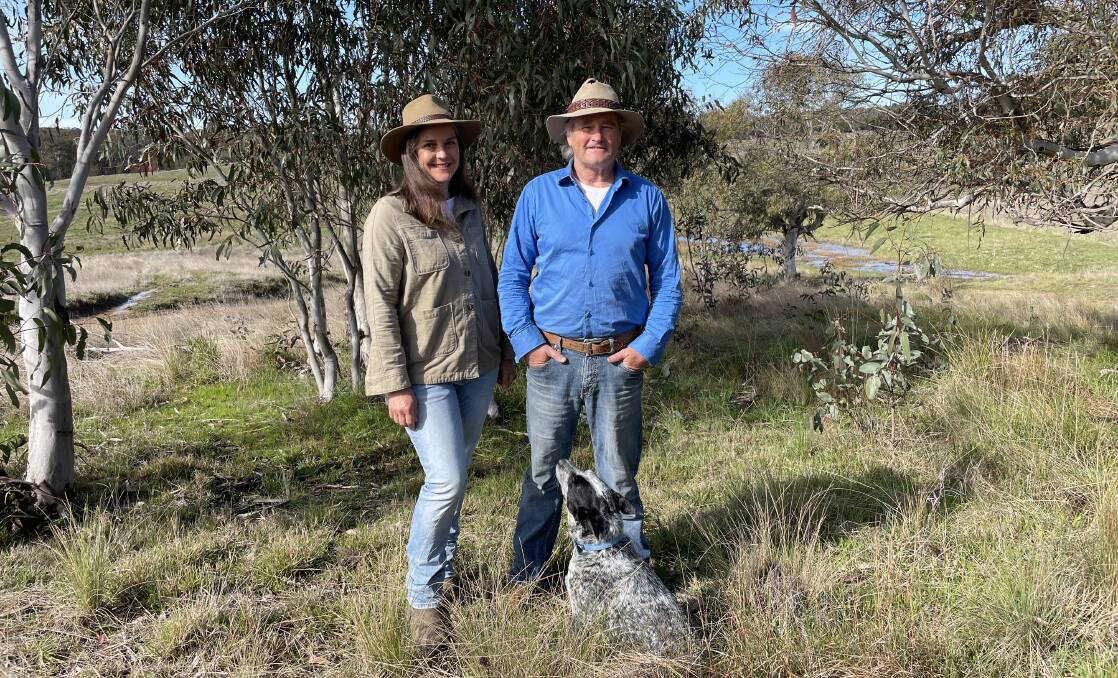 Tom Gordon and Martina (Marty) Shelley were successful in the Snow Gum Woodlands and Grasslands conservation tender.